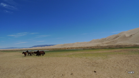 Khongor Sand Dune @ Mongolia